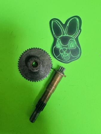 This is a capture of a vespa rally200 autolube gears