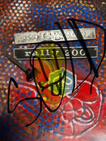 This is a photograph of a rally200 badges lot sold 